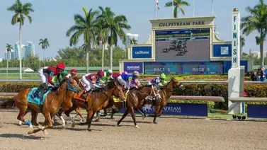 Entrenador venezolano es multado en Estados Unidos con esta cantidad de dinero por esta razón Entrenador venezolano es multado en Estados Unidos con esta cantidad de dinero por esta razón