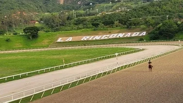 Está es la lista de ejemplares que no pueden ser inscritos en La Rinconada hasta que presenten el certificado médico oficial