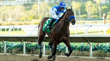 Conoce al prospecto de Bob Baffert que causa sensación en Del Mar