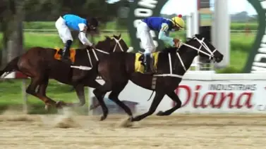 HINAVA presenta los inscritos para la reunión 23 con una selectiva HINAVA presenta los inscritos para la reunión 23 con una selectiva