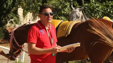 Riccardo D'Angelo entrega todos los ejemplares de este Stud en La Rinconada Riccardo D'Angelo entrega todos los ejemplares de este Stud en La Rinconada
