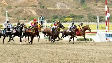 Esta hija de Champlain reaparece en la Rinconada luego de 266 días sin correr Esta hija de Champlain reaparece en la Rinconada luego de 266 días sin correr