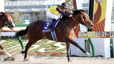 El múltiple ganador de grado 1 Cafe Pharoah es retirado y va a la cría El múltiple ganador de grado 1 Cafe Pharoah es retirado y va a la cría