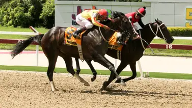 Paomi Police regresa este domingo a la Rinconada en el Clásico Aviación Militar Bolivariana Paomi Police regresa este domingo a la Rinconada en el Clásico Aviación Militar Bolivariana