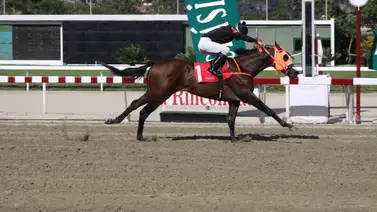 ¿Sabes quién es el jinete más ganador del Clásico Burlesco? Aquí te lo mencionamos ¿Sabes quién es el jinete más ganador del Clásico Burlesco? Aquí te lo mencionamos