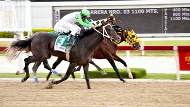Este domingo reaparece un nieto del único caballo venezolano que ha corrido en la Breeders’ Cup