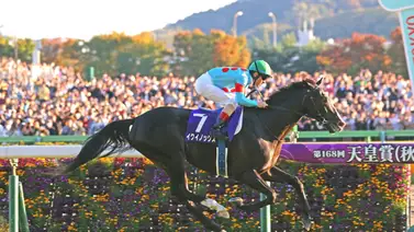 Estos son los tres mejores caballos del mundo según este ranking mundial Estos son los tres mejores caballos del mundo según este ranking mundial