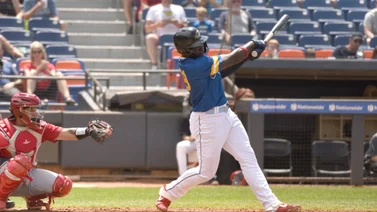LIDOM: Prospecto dominicano logra récord de jonrón en su debut en la Liga Dominicana de Beisbol