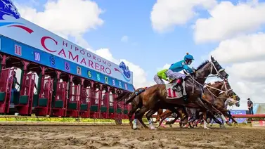 Restituyen el factor del Pool de 6 en Puerto Rico Restituyen el factor del Pool de 6 en Puerto Rico