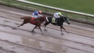 Jinete venezolano gana con tremendo batacazo en este hipódromo de Estados Unidos