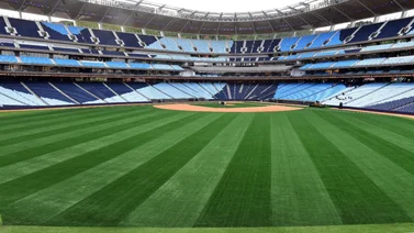 LVBP: ¡Caos total! Locura en el Monumental por las entradas para el próximo Caracas-Magallanes (+Video)