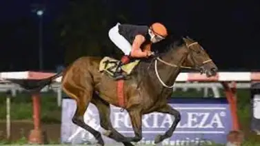 ¡Histórico! Jockey argentino logra este récord casi imposible de alcanzar ¡Histórico! Jockey argentino logra este récord casi imposible de alcanzar