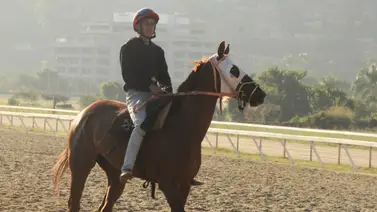 Esto es lo que dice Carlos Brito de los ejemplares que monta este domingo en La Rinconada Esto es lo que dice Carlos Brito de los ejemplares que monta este domingo en La Rinconada