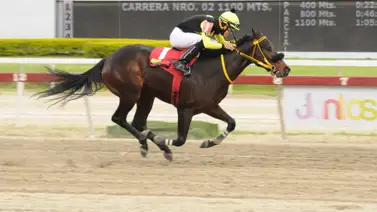 Así queda el ajuste de la línea de Gaceta Hípica para la reunión 46 en La Rinconada Así queda el ajuste de la línea de Gaceta Hípica para la reunión 46 en La Rinconada