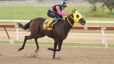 Mi Chiquitina queda lista para participar en el Clásico Aviación Militar Bolivariana con este ajuste Mi Chiquitina queda lista para participar en el Clásico Aviación Militar Bolivariana con este ajuste