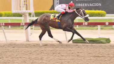 Mira el ajuste de Colossus previo al Clásico Burlesco en La Rinconada Mira el ajuste de Colossus previo al Clásico Burlesco en La Rinconada