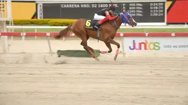 Este ejemplar luce su ajuste para el 5y6 dominical en La Rinconada Este ejemplar luce su ajuste para el 5y6 dominical en La Rinconada