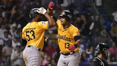 LIDOM: Estos son los líderes ofensivos de mitad de temporada en el beisbol de República Dominicana (+ Video) LIDOM: Estos son los líderes ofensivos de mitad de temporada en el beisbol de República Dominicana (+ Video)