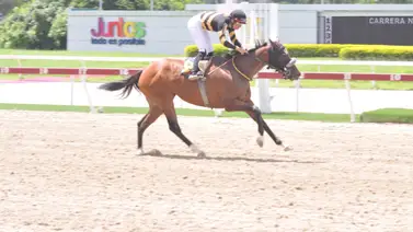 Así fue el ajuste de la favorita de Gaceta Hípica en el inicio de la reunión 46 del domingo en La Rinconada Así fue el ajuste de la favorita de Gaceta Hípica en el inicio de la reunión 46 del domingo en La Rinconada