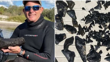 Un hombre descubrió un fósil de un animal extinto en un río de Florida
