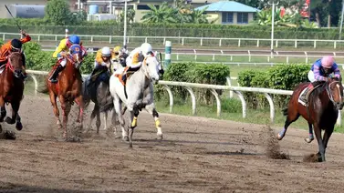 Serie Hípica 2023: Mira lo que ocurrió hoy con los ejemplares venezolanos en Panamá Serie Hípica 2023: Mira lo que ocurrió hoy con los ejemplares venezolanos en Panamá