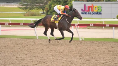 Ganadora clásica y campeona del Caribe será retirada de las pistas