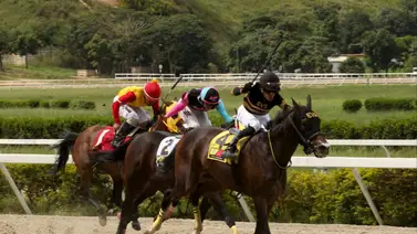 Johan Aranguren seguro del triunfo de estos ejemplares para el domingo en La Rinconada Johan Aranguren seguro del triunfo de estos ejemplares para el domingo en La Rinconada
