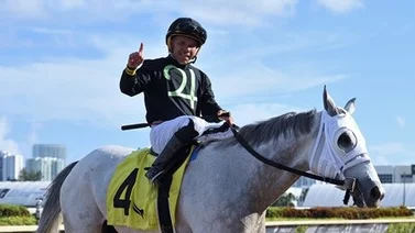 Edgar Pérez pega batacazo con este ejemplar en Gulfstream Park