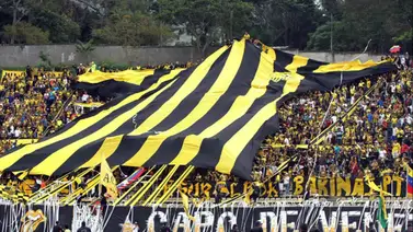 Gran Final: Fanáticos del Deportivo Táchira toman las calles de San Cristóbal (+Video) Gran Final: Fanáticos del Deportivo Táchira toman las calles de San Cristóbal (+Video)