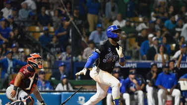 LIDOM: Estos son los resultados de la jornada de este 24 de noviembre en Dominicana