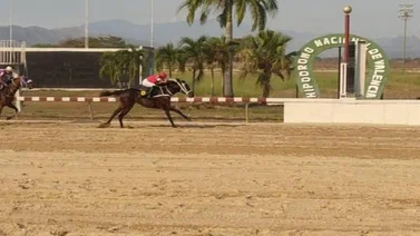 Estos son los retirados del Hipódromo Nacional de Valencia 25-11-2023