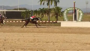 Estos son los retirados del Hipódromo Nacional de Valencia 25-11-2023 Estos son los retirados del Hipódromo Nacional de Valencia 25-11-2023
