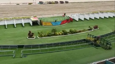 Estos son los favoritos de la cátedra para el 5y6 Nacional de la reunión 46 en La Rinconada Estos son los favoritos de la cátedra para el 5y6 Nacional de la reunión 46 en La Rinconada