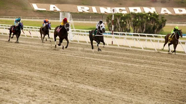 Datos de Última Hora para el Hipódromo La Rinconada 26-11-2023