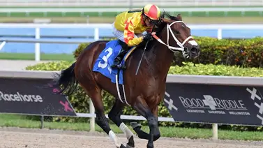 Entrenador venezolano lideró este meeting en Victorias en Estados Unidos Entrenador venezolano lideró este meeting en Victorias en Estados Unidos