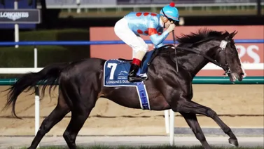 El mejor caballo del mundo lo vuelve a hacer y galopa la Japan Cup
