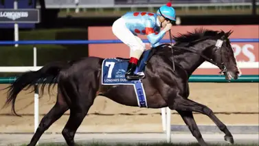 El mejor caballo del mundo lo vuelve a hacer y galopa la Japan Cup El mejor caballo del mundo lo vuelve a hacer y galopa la Japan Cup