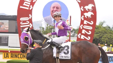 Serie Hípica 2023: Irad Ortiz Jr. será el jockey de estos ejemplares venezolanos