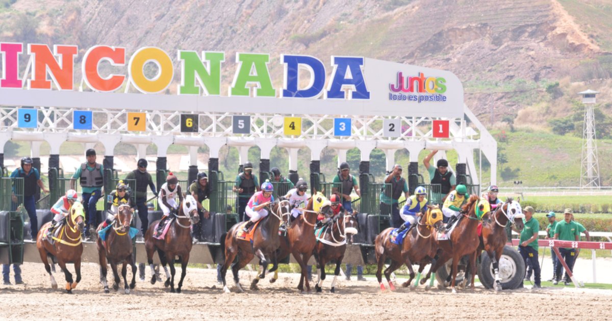 dividendos del 5 y 6 la rinconada