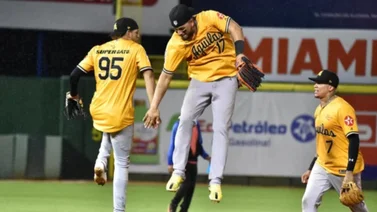 LIDOM: Estos son los resultados de este domingo 26 de noviembre en la Liga Dominicana de Beisbol