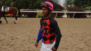 Esto dijo Ángel Ybarra sobre la yegua Miss Indiana Esto dijo Ángel Ybarra sobre la yegua Miss Indiana