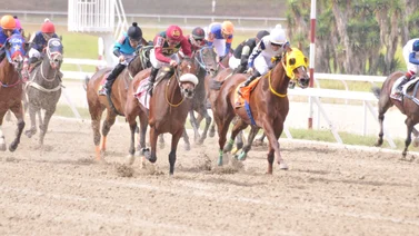 Está es la razón por la cual Ángel Ybarra no montó Black Andrew en La Rinconada