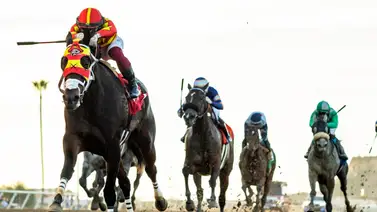 Mira la multa que reciben estos jinetes por abusar del látigo en Estados Unidos Mira la multa que reciben estos jinetes por abusar del látigo en Estados Unidos