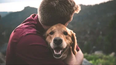 ¡Lo más tierno que verás hoy! Un venezolano en Chile se hizo viral por esta hermosa razón