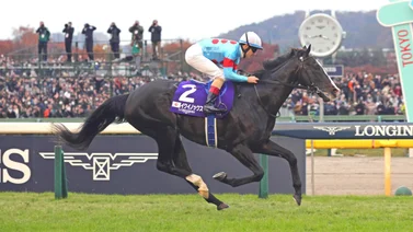 Esta es la asombrosa cifra que se apuesta en la victoria del mejor caballo del mundo
