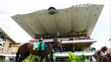 INH presenta a los inscritos para la reunión 47 en La Rinconada INH presenta a los inscritos para la reunión 47 en La Rinconada