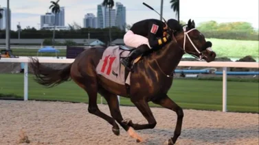 Jinete venezolano rueda en Parx Racing. Conoce su estado de salud aquí