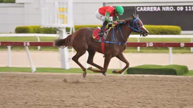César Pérez inscribe a esta yegua que reaparece a La Rinconada luego de 265 días sin correr César Pérez inscribe a esta yegua que reaparece a La Rinconada luego de 265 días sin correr