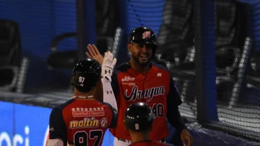 LVBP: Estos son los juegos para este 28 de noviembre en la pelota venezolana