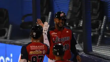 LVBP: Estos son los juegos para este 28 de noviembre en la pelota venezolana LVBP: Estos son los juegos para este 28 de noviembre en la pelota venezolana